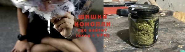 сатива Абинск