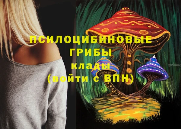не бодяженный Абдулино