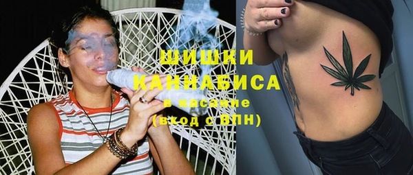 сатива Абинск