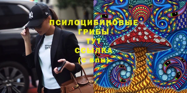 сатива Абинск