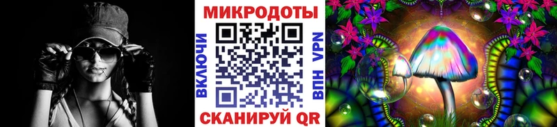 Галлюциногенные грибы прущие грибы  Иннополис 