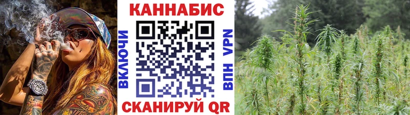 Конопля Ganja  Иннополис 